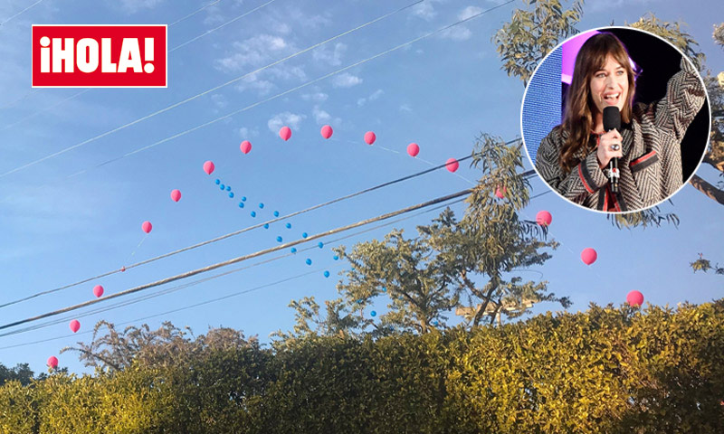 EXCLUSIVA: Las imágenes de la fiesta de Dakota Johnson que desataron los rumores de embarazo