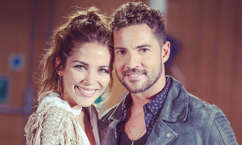 David Bisbal y Rosanna Zanetti van a ser padres