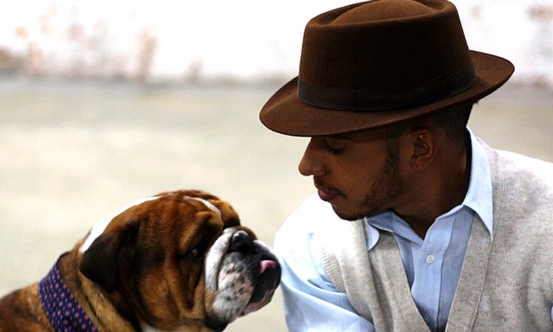 El perro de Lewis Hamilton, una estrella sobre las pasarelas que se embolsa 700 euros diarios