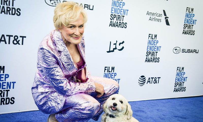 Glenn Close no fue la protagonista de los Spirit Awards... ¡fue su perro!