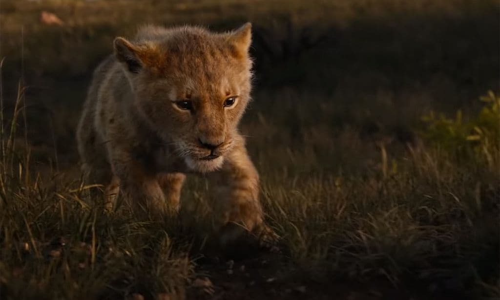 El primer tráiler de 'El Rey León' te dejará con la boca abierta y lágrimas en los ojos
