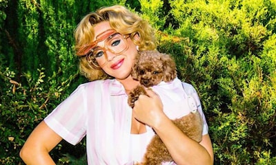 Katy Perry llena el videoclip de 'Small Talk' de buen humor, ironía y…¡perros!