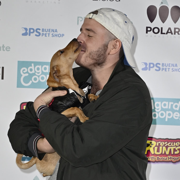 El Halloween más original: Aless Lequio celebra una fiesta para mascotas