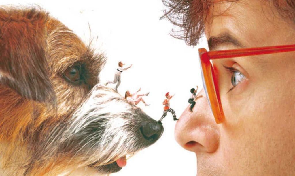 ¡Viva la nostalgia! 'Cariño, he encogido a los niños' tendrá una nueva película