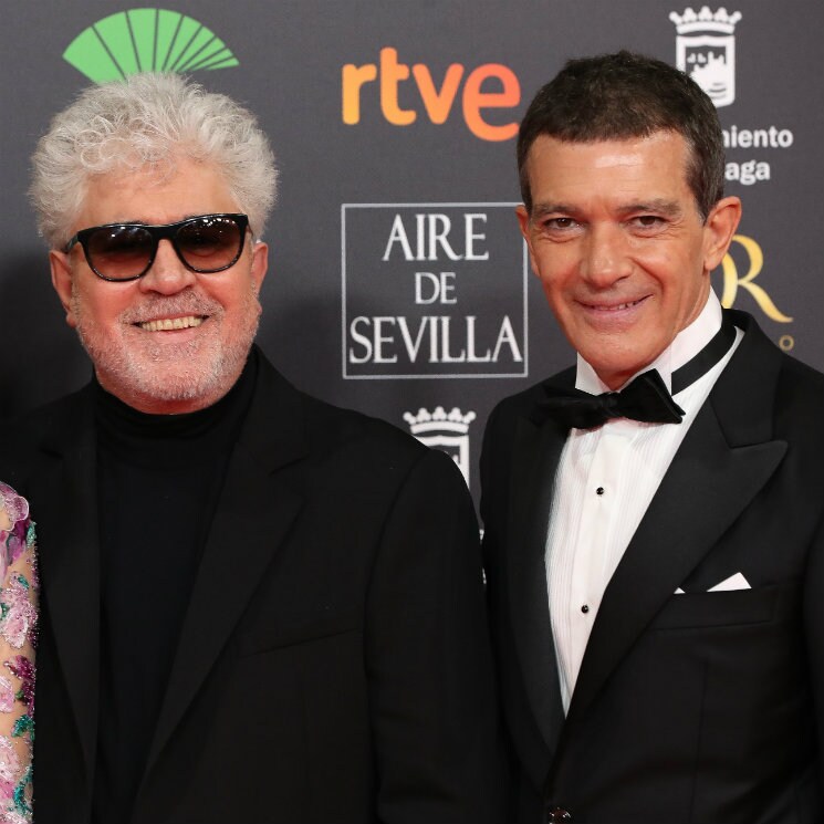 Penélope Cruz y Antonio Banderas protagonizarán una película ¡y no es de Almodovar!