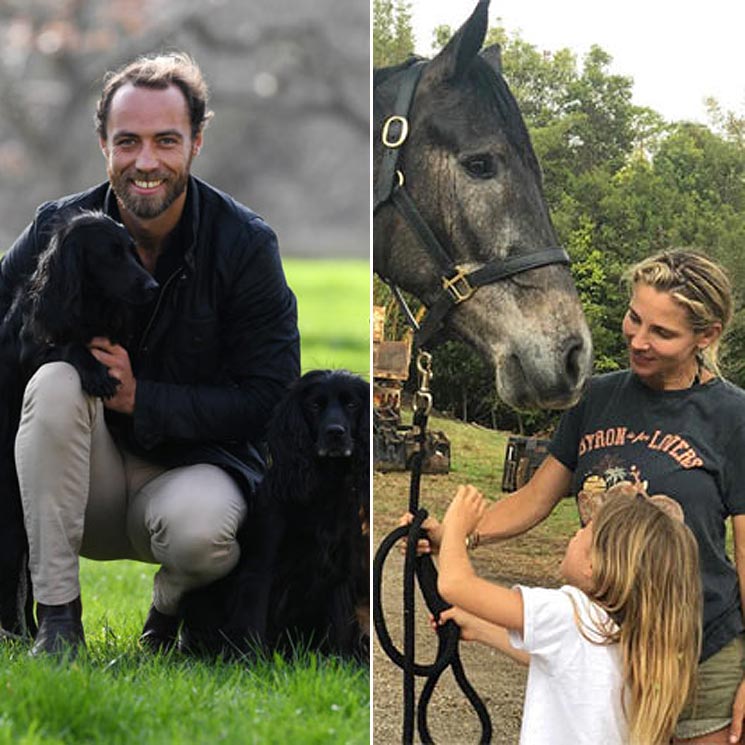 Caballos, cerditos, perros... Las 'celebrities' que han ampliado la familia con unas curiosas mascotas