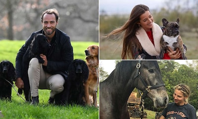 Caballos, cerditos, perros... Las 'celebrities' que han ampliado la familia con unas curiosas mascotas