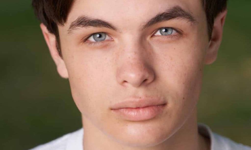 Muere A Los 16 Anos Logan Williams Actor De The Flash Y Supernatural Muere A Los 16 Anos Logan Williams Actor De The Flash Y Supernatural