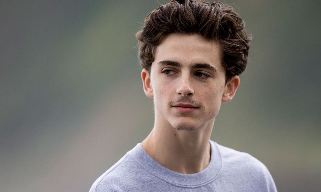  Timothée Chalamet 