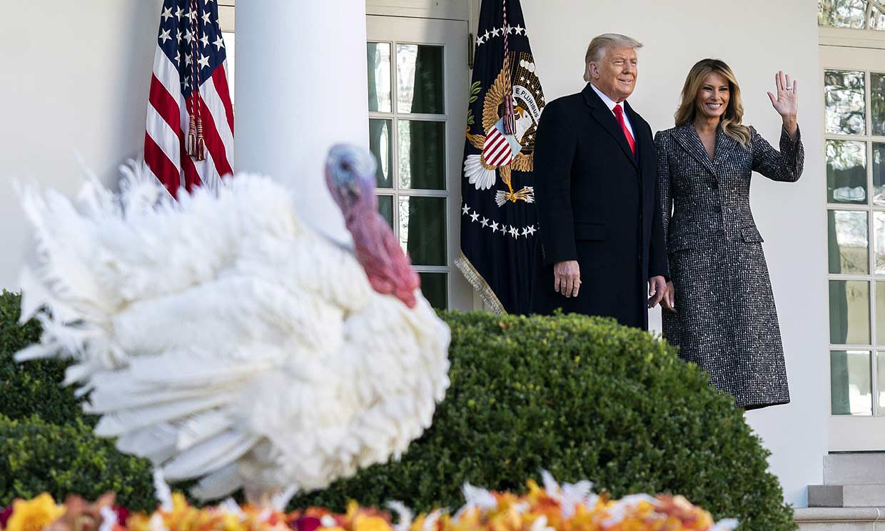 Foto a foto: La última y anecdótica celebración de los Trump por Acción de Gracias