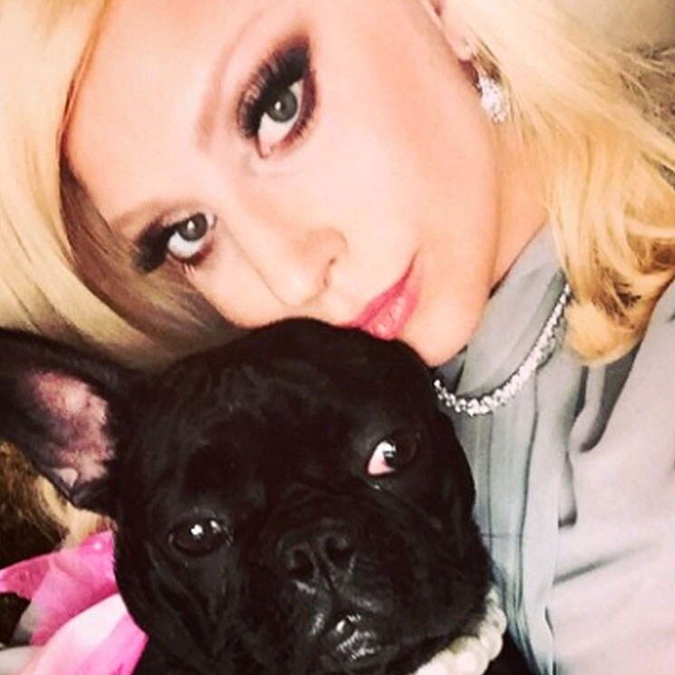 Lady Gaga recupera ilesos a sus dos perros robados tras un violento asalto