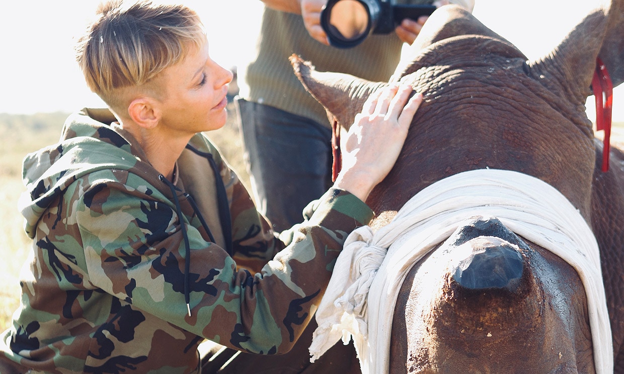 Las impresionanates imágenes de Charlene de Mónaco al rescate de un rinoceronte