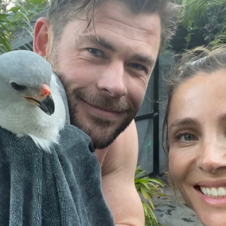 ¡Elsa Pataky y Chris Hemsworth al rescate! Así han liberado a un ave atrapada en su gallinero