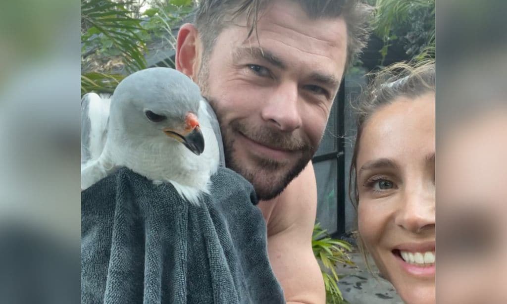 ¡Elsa Pataky y Chris Hemsworth al rescate! Así han liberado a un ave atrapada en su gallinero