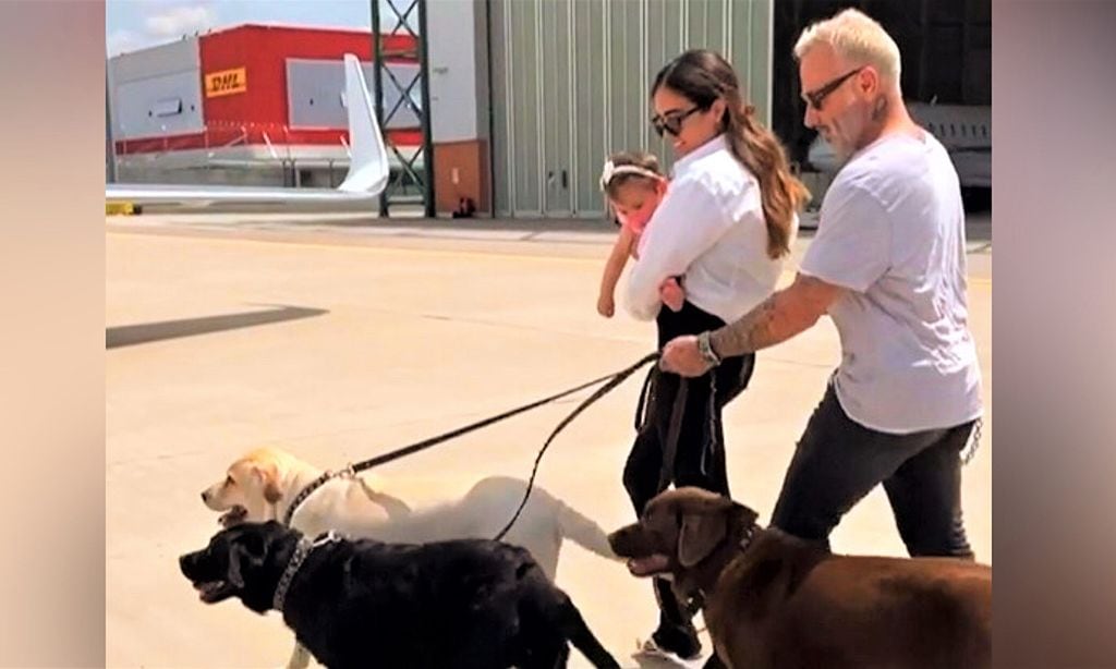 ¡Todos a bordo! No te pierdas el simpático vídeo del regreso a casa de Gianluca Vacchi y toda su 'troupe'