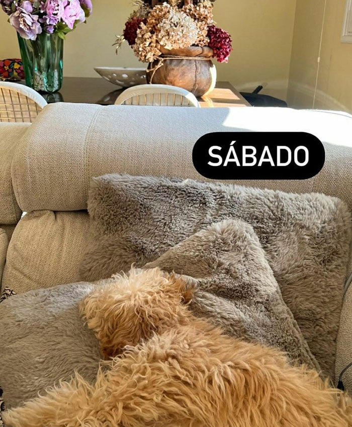 Carme Chaparro reposando la rodilla lesionada en el sofá de su casa con su perro Bitter 