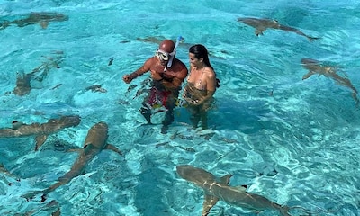 El baño lleno de adrenalina de Marta Lozano nadando entre tiburones