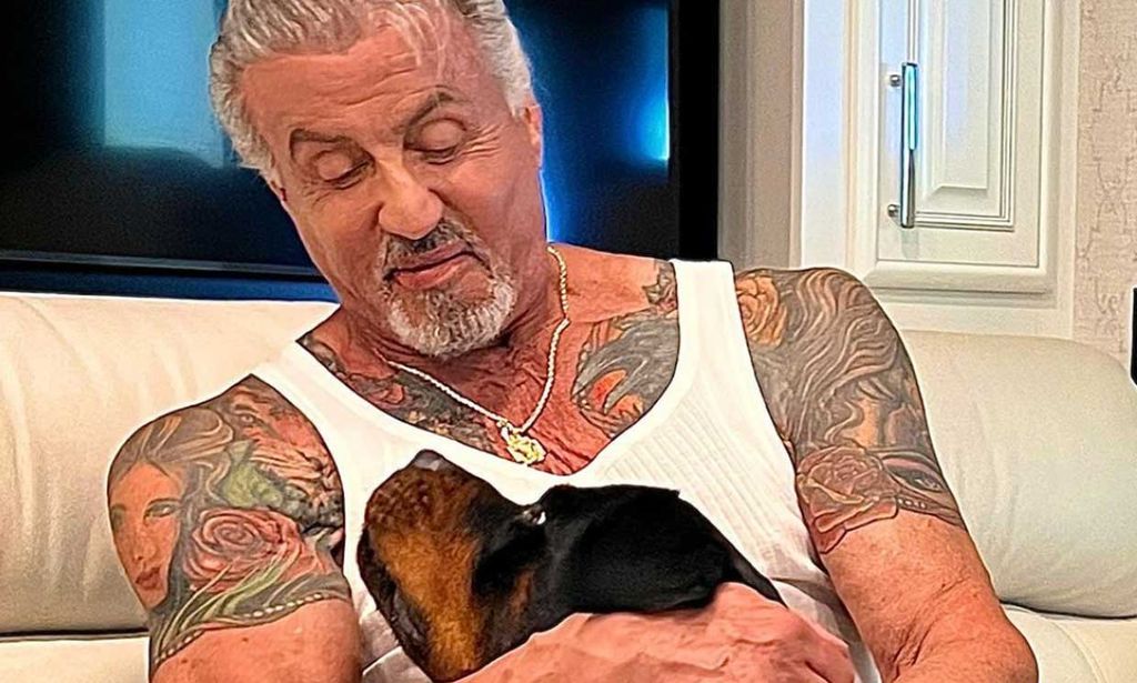 Sylvester Stallone explica el motivo de su divorcio y niega que sea por culpa de un perro