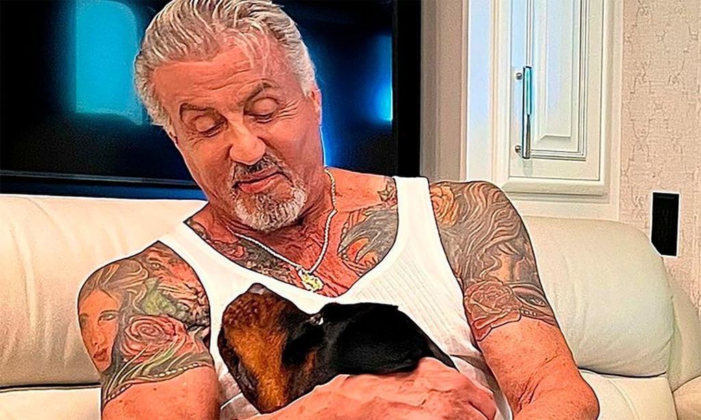 Sylvester Stallone se borra otro tatuaje de Jennifer Flavin, el primero lo sustituyó con un perro y ¿el segundo?