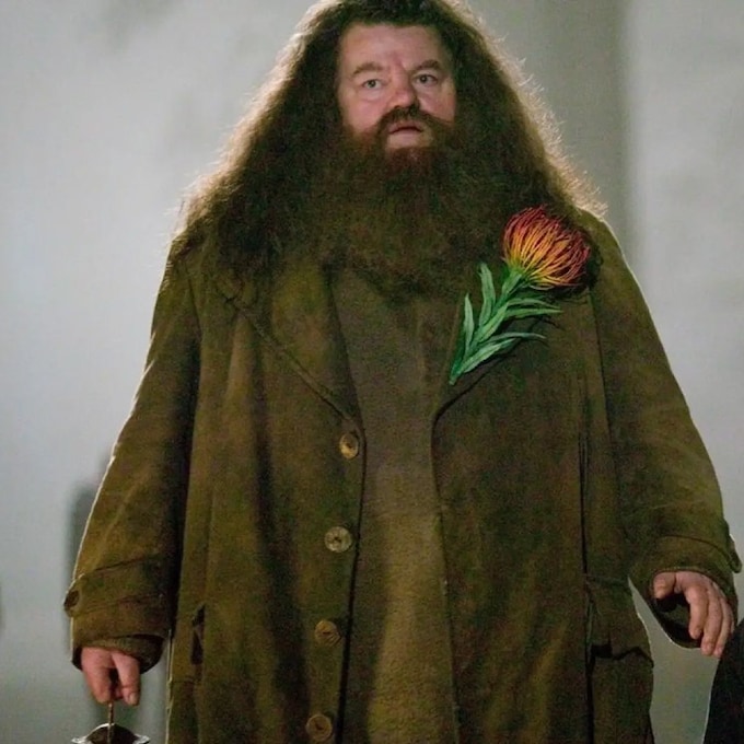 Fallece Robbie Coltrane, el gigante Hagrid de 'Harry Potter', a los 72 años