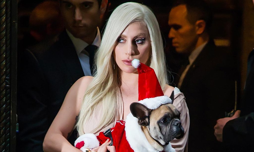 Lady Gaga adora a sus perros