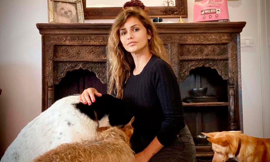 Feliz junto a su hija Antonella, sus 6 perros y en el campo: así es la vida de Mónica Cruz