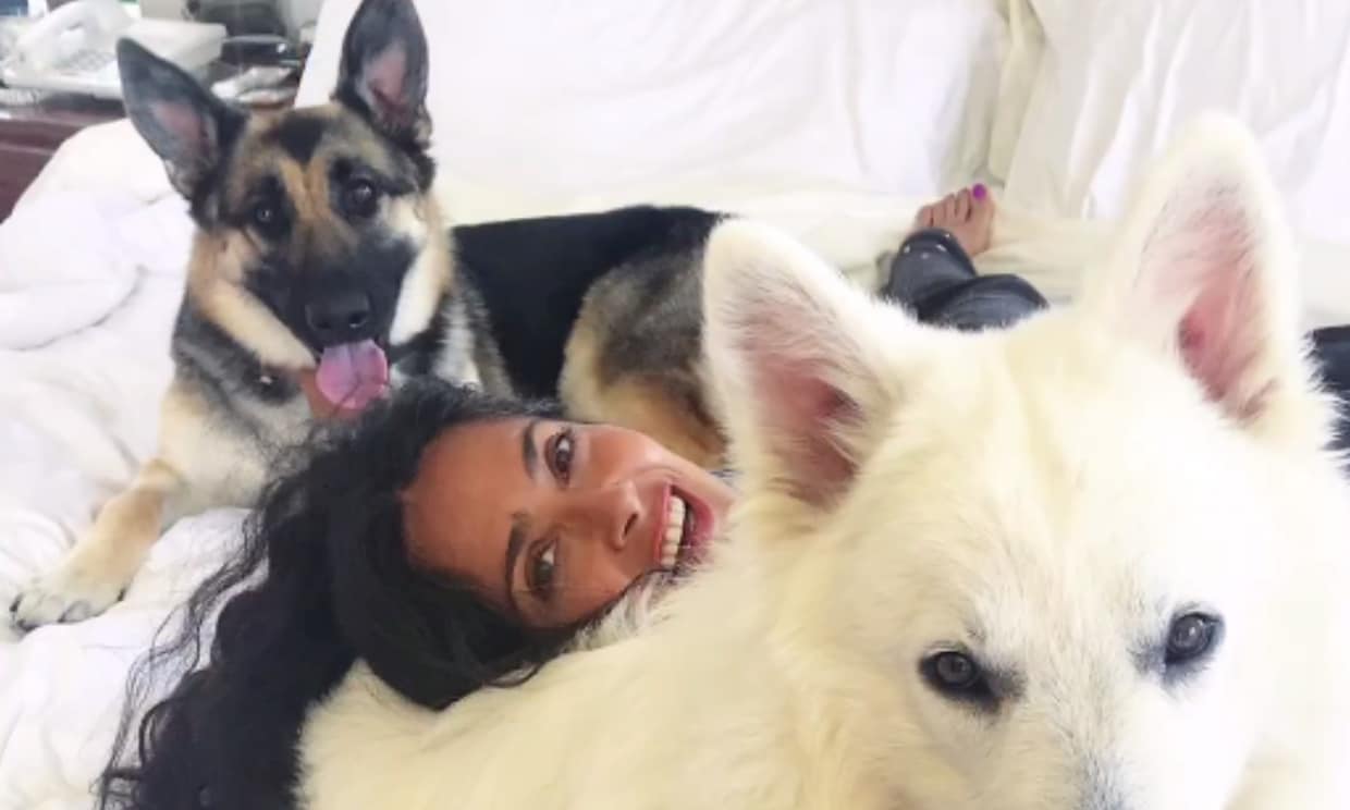 El vídeo de Salma Hayek con sus 30 mascotas