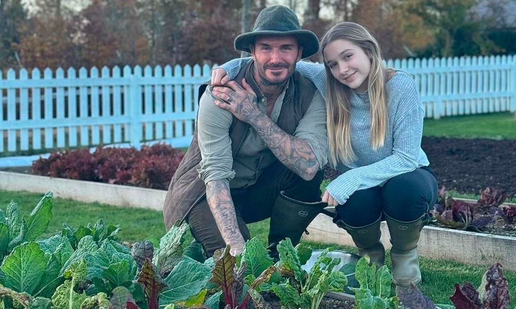 Los rincones más desconocidos en la casa de los Beckham: de su panal de abejas al huerto orgánico