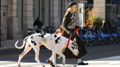 Las imágenes de Naomi Watts paseando por Nueva York con este enorme perro