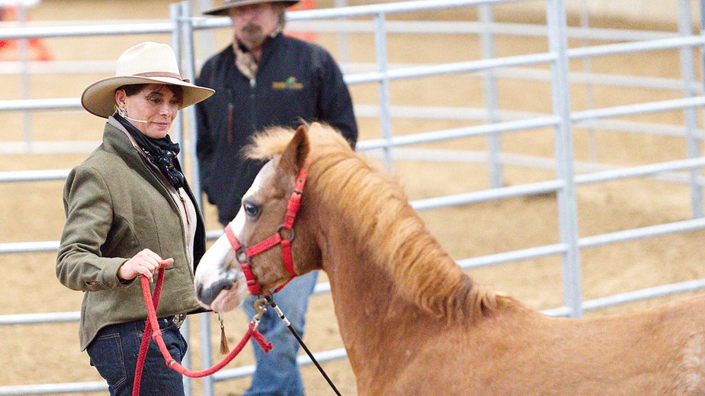 La presentadora Natalia Estrada vuelve a Gijón para compartir sus secretos de 'cowgirl'