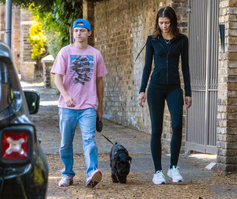 Zendaya y Tom Holland reaparecen