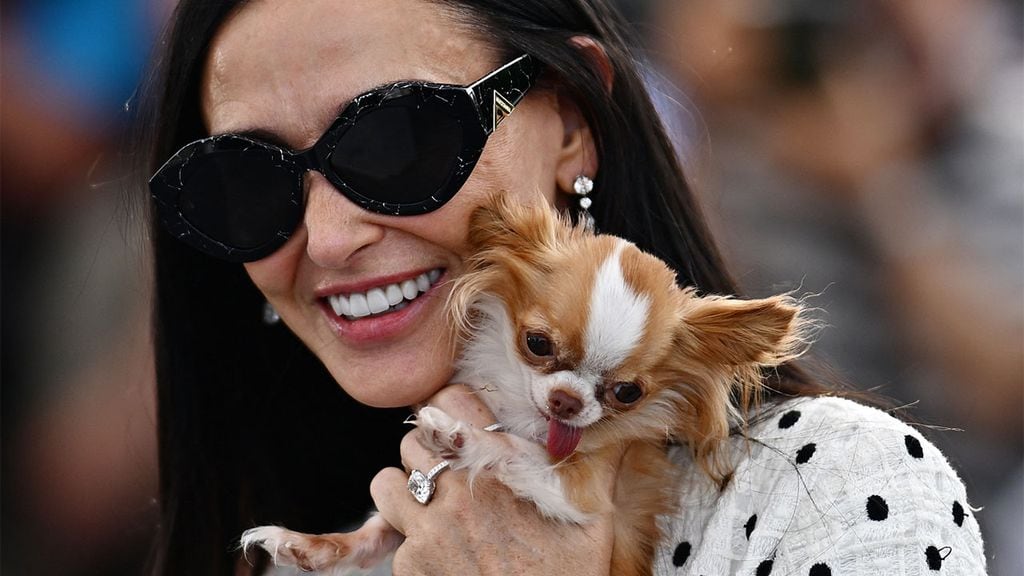 El chihuahua de Demi Moore, una auténtica estrella en el Festival de Cannes