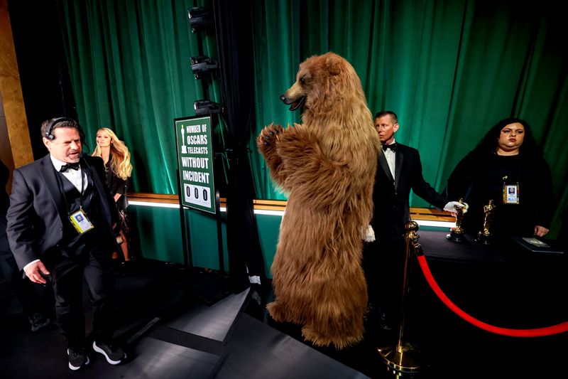 El oso de Elisabeth Banks