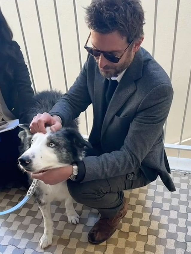 Bradley Cooper conoce al perro de Anatomía de una caída