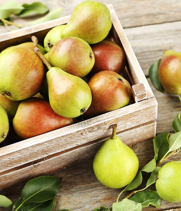 Frutas permitidas en una dieta para adelgazar Frutas permitidas en una dieta para adelgazar