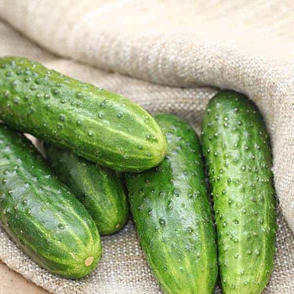 fruta peruana para adelgazar fruta peruana para adelgazar