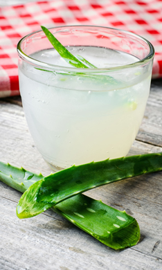 ¿Beber aloe vera en ayunas nos ayuda a perder peso?