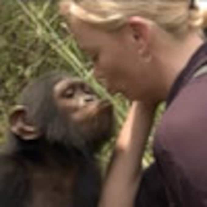 El lado más tierno de Charlize Theron con su nuevo amigo, un chimpancé