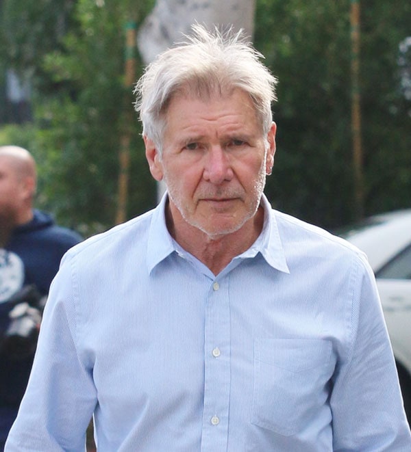 Harrison Ford se encuentra fuera de peligro tras haber sufrido un accidente de avioneta en California