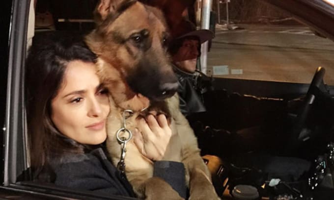 Salma Hayek descubre quién disparó a su perro