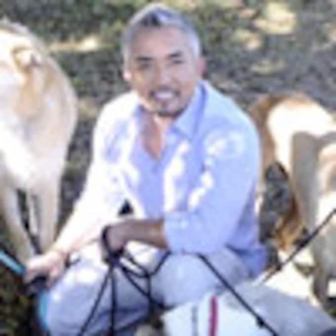César Millán, el encantador de perros, comienza a rodar en España su nuevo programa, 'El líder de la manada'