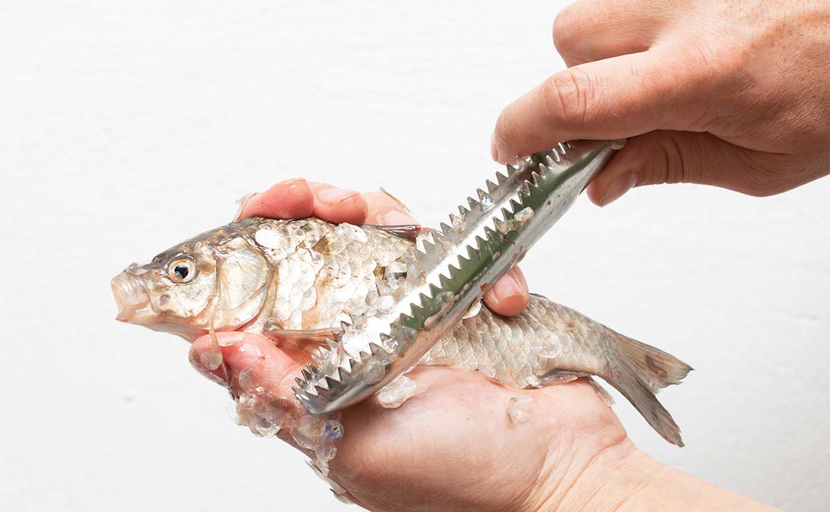 Truco de la semana: ¿sabes limpiar correctamente el pescado?