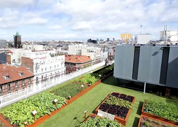 Tendencias 'gourmet': un huerto en el cielo de Madrid