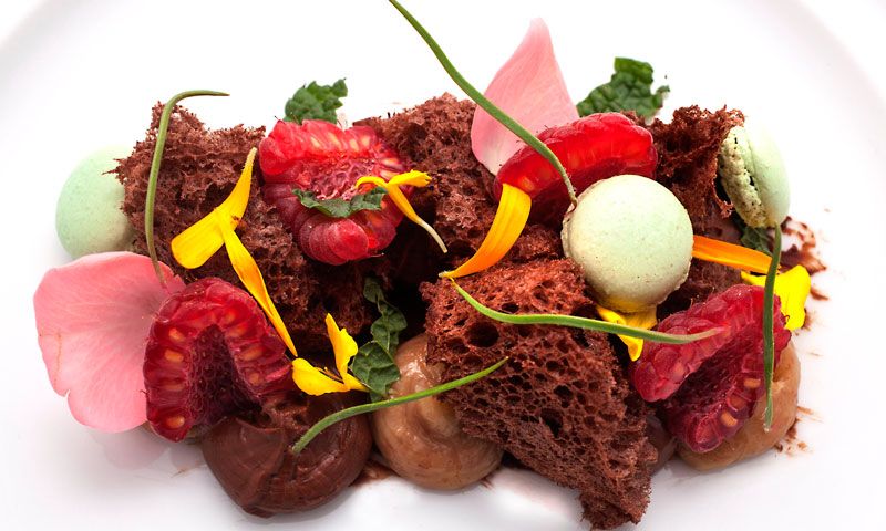 ¿Cómo cocinar con flores? Recetas y trucos para un menú muy primaveral
