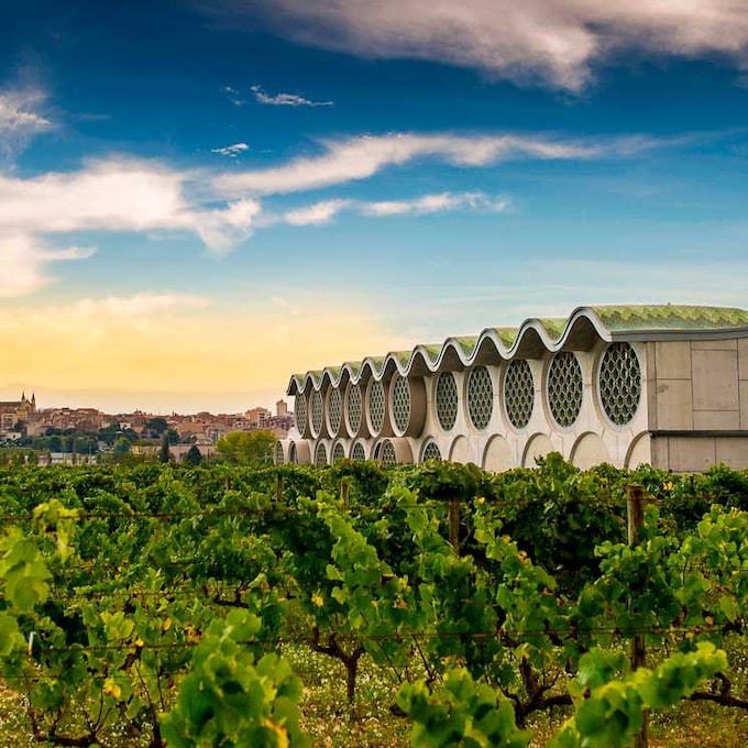 Ruta entre viñas: los mejores planes de enoturismo para ‘beberse’ el Penedès
