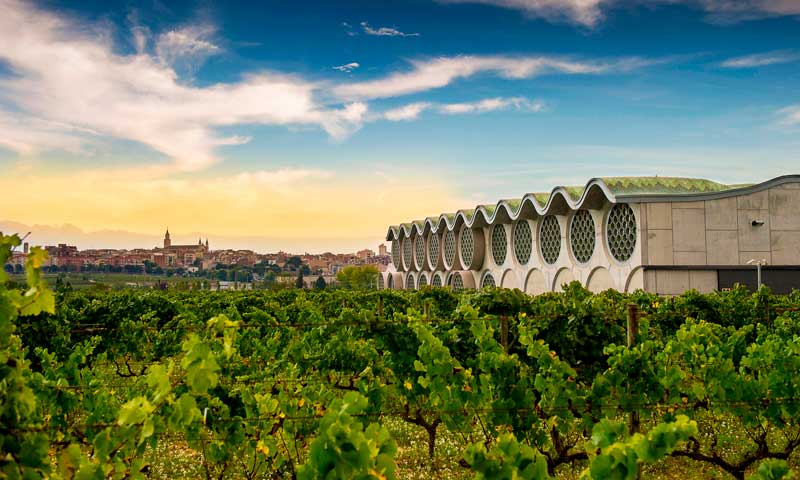 Ruta entre viñas: los mejores planes de enoturismo para ‘beberse’ el Penedès