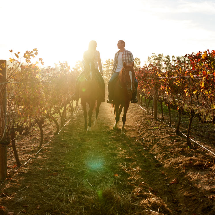 Planes gastro: Las escapadas más originales para 'wine lovers'