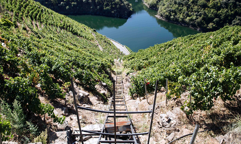 Enoturismo en la Ribeira Sacra: ¿Marvel, dices? ¡Aquí sí que hay héroes de verdad!