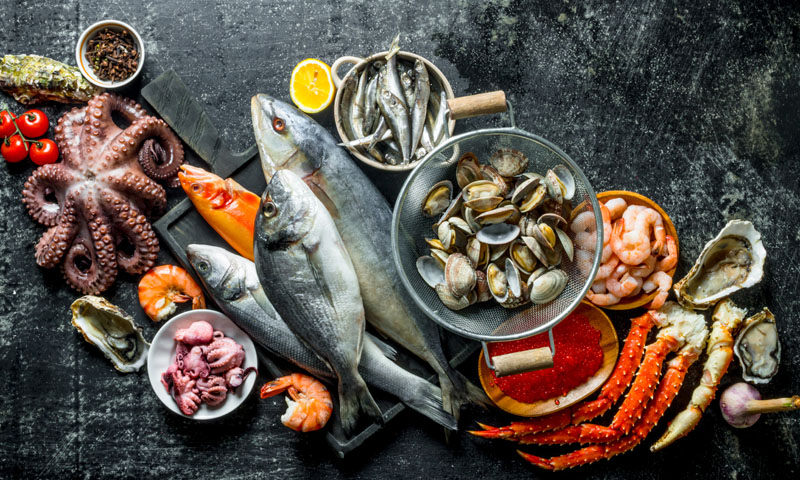 Pescados y mariscos, ¿hasta dónde llega el límite de su consumo?