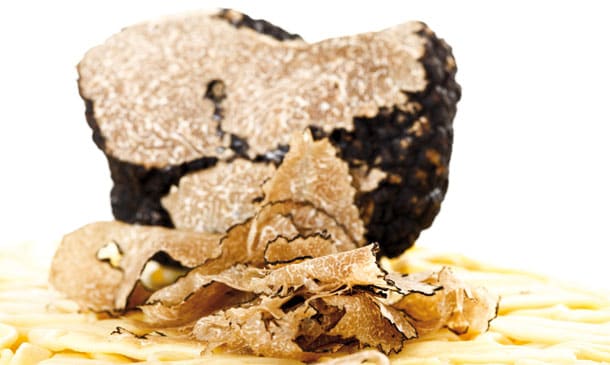 Conoce a fondo la trufa, dónde comerla y cómo cocinarla Conoce a fondo la trufa, dónde comerla y cómo cocinarla